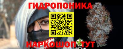 mdpv Новозыбков