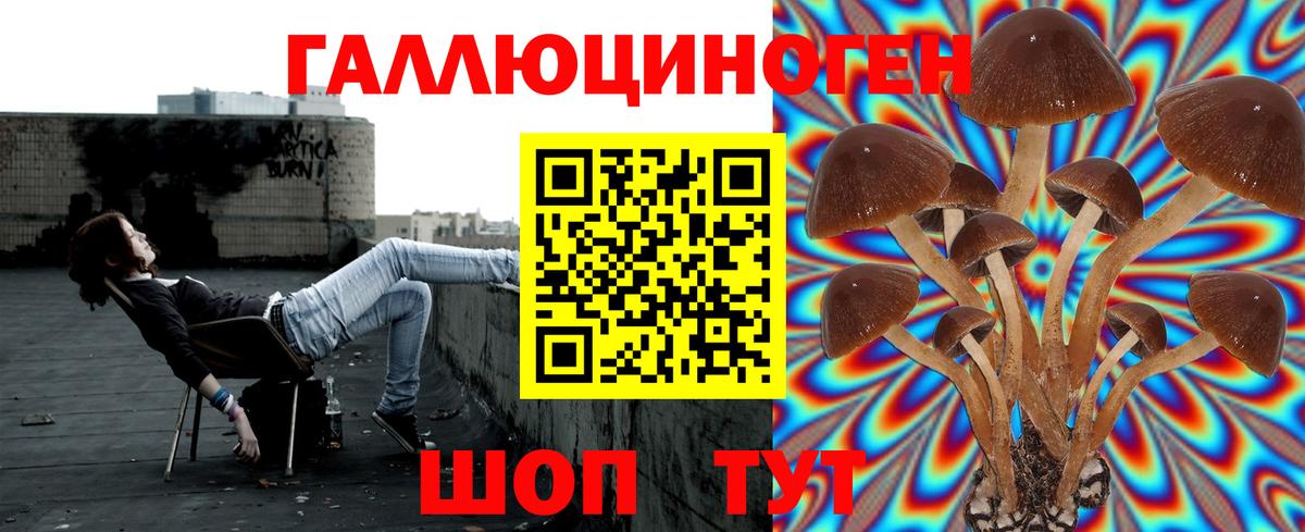 Галлюциногенные грибы Cubensis  Вход с VPN  Дмитров 